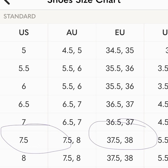 Roberto Del Carlo Black LeatherTall Riding Equestrian Boots, Size US 7.5 EU 37.5 - Picture 13 of 14